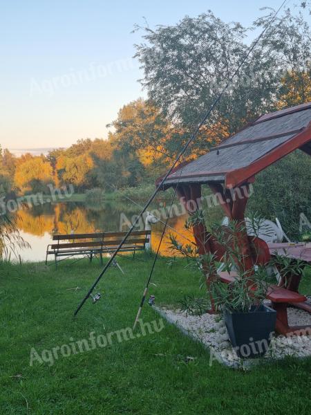 Fishing pond for sale