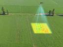 Drone multispectral monitoring - NDVI and other indices, differential/spot management plans