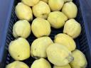 Quince for sale