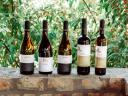 Wine sales in Imrehegy, from our own production of organic and traditional wines