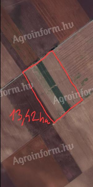 13,42 ha irrigable farmland for sale