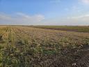 13,42 ha irrigable farmland for sale