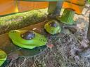 KRONE EASYCUT 280, disk kosilica