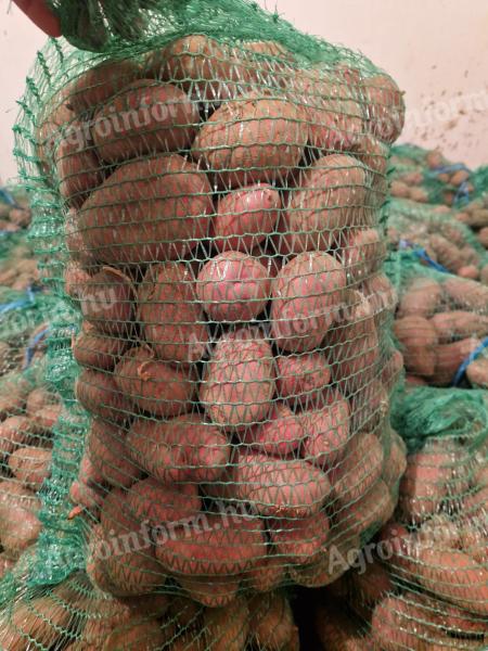 Esmee potatoes for sale