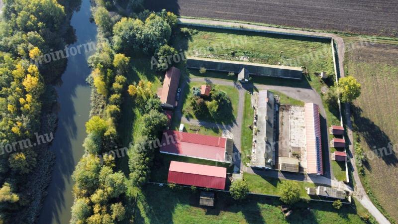 VEČJI 13.000 m², splošno kmetijsko posestvo s prenovljenimi stavbami, z razimetri