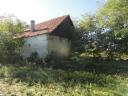 Farm with eight hectares of elderflowers for sale in Imrehegy