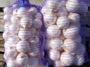 White onions for sale