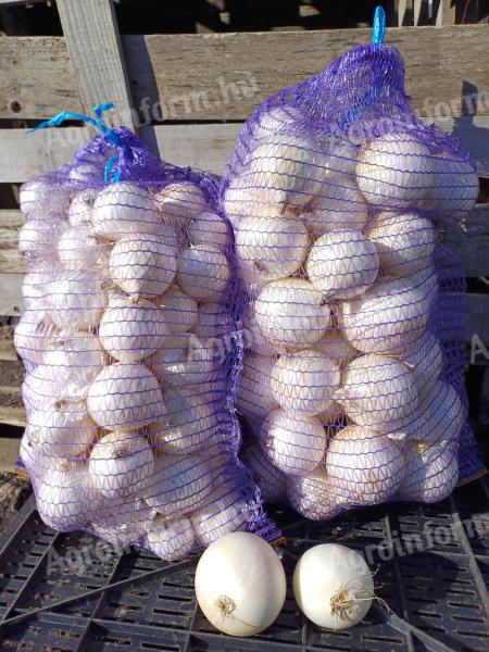 White onions for sale