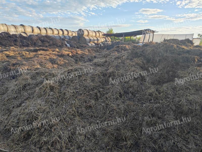 Mature beef manure for sale in bulk