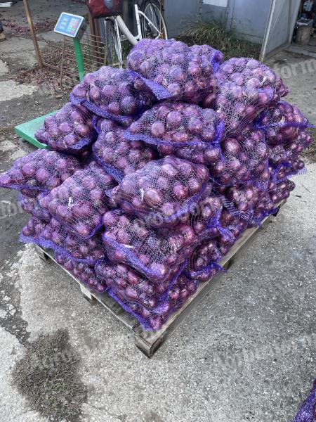 Rote Zwiebel zu verkaufen