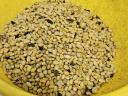 Soya beans for sale