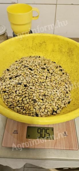 Soya beans for sale