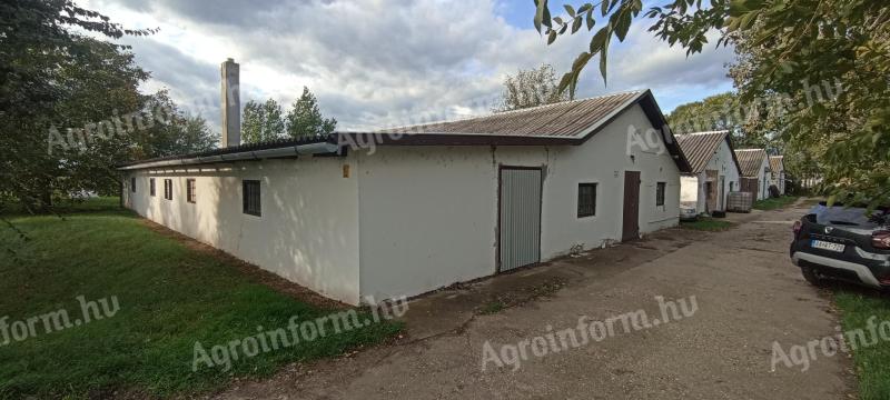 Pigsty, farrowing shed for sale in Füzesgyarmat