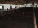 Pigsty, farrowing shed for sale in Füzesgyarmat