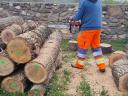 Firewood cutting, rolling