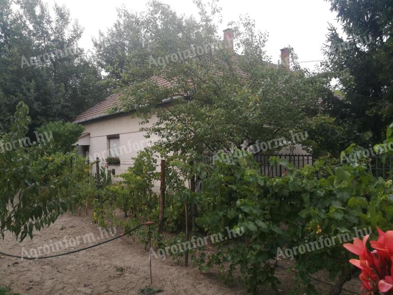 KELEBIÁN RENOVATION 5 BEDROOM GAS FAMILY HOUSE WITH LARGE GARDEN FOR SALE