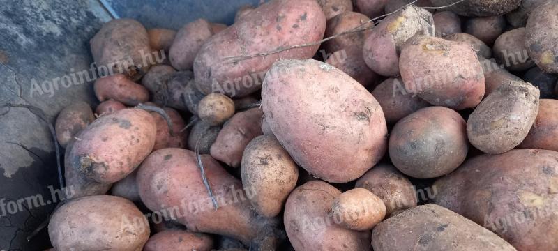 Fodder potatoes, pork, potatoes