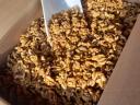 This year's dried walnut kernels for sale