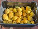 Quince for sale