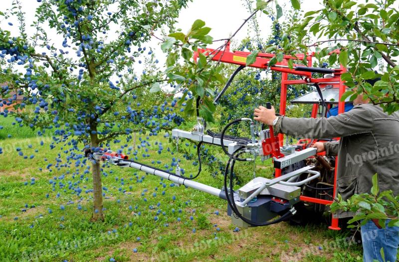 ERDBEERE – PESTKA-SCHÜTTLER – FÜR FRÜCHTE MIT FARBE SCHALE – AUCH NACH AUSSCHREIBUNG ERHÄLTLICH