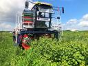 JAGODA - OSKAR 4WD - self-propelled fruit harvester - also eligible for subsidies