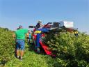 JAGODA - AO1 - towed fruit harvester - also eligible for tender