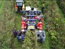 JAGODA - AO1 - towed fruit harvester - also eligible for tender