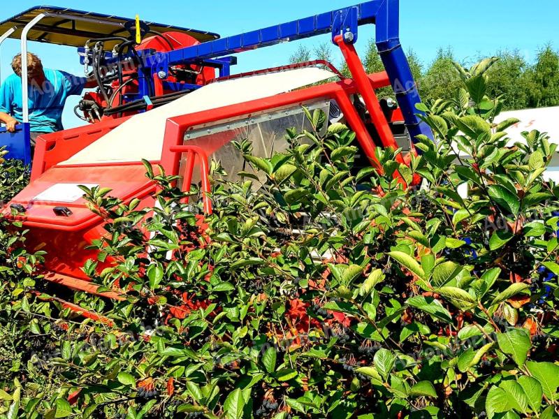 JAGODA - Aronic - gezogene Aronia-Erntemaschine - kann auch in einer Ausschreibung berücksichtigt werden