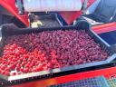 JAGODA - JAREK 5R - trailed semi-row fruit harvester - also eligible for tender