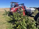 JAGODA - JAREK 5R - trailed semi-row fruit harvester - also eligible for tender