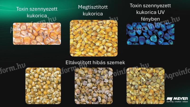 Reducerea toxinelor din porumb cu sortoarele optice MEYER