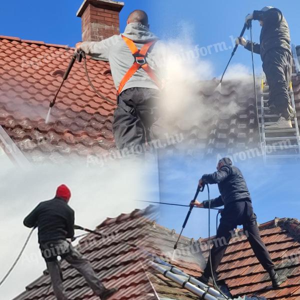 Roof, stone and facade cleaning, elastic roof painting