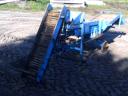 Potatoes, potatoes, dandelion sorting, grading