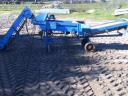 Potatoes, potatoes, dandelion sorting, grading