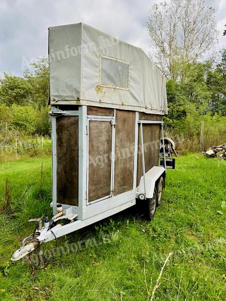 Horsebox for hire