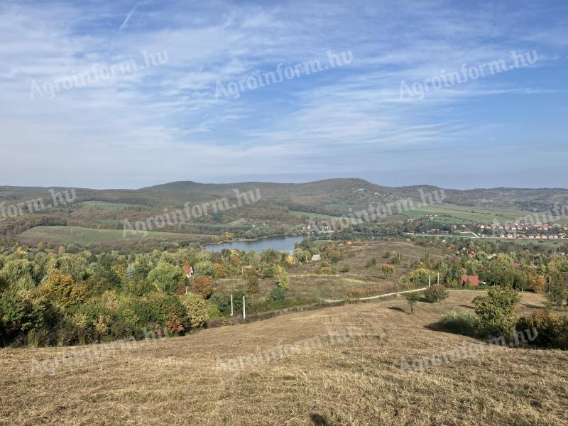 Investitionsweide und Wald zu verkaufen