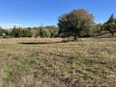 Pasture and forest for investment for sale