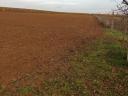 Farmland for sale