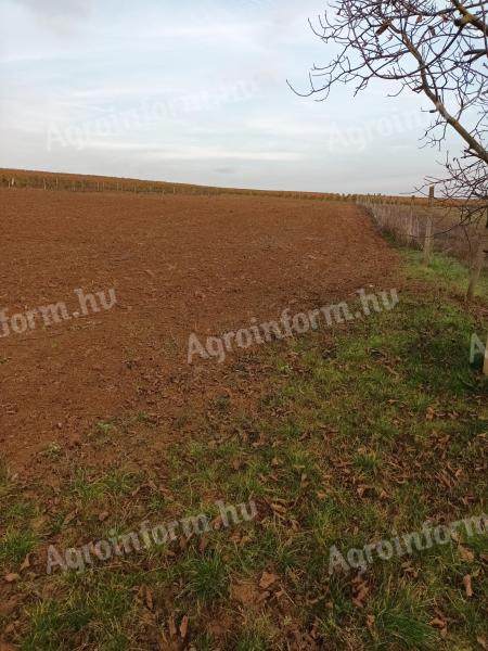 Farmland for sale