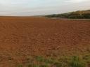 Farmland for sale