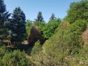 8500 m² land plot, holiday home, real estate