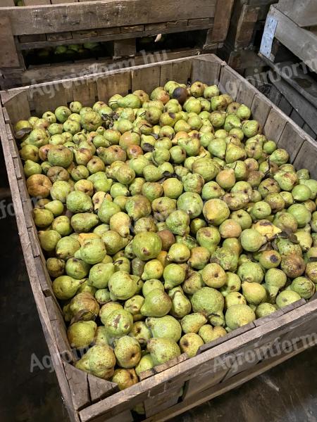 Pears for mash for sale