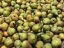 Pears for mash for sale