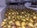 Pears for mash for sale