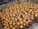 Nashi (Japanese) pears for mash for sale