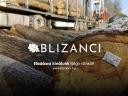 BLIZANCI Ltd. oferă spre vânzare bușteni de stejar