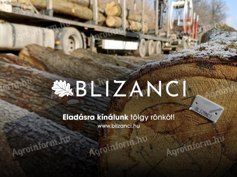 BLIZANCI Ltd. oferă spre vânzare bușteni de stejar