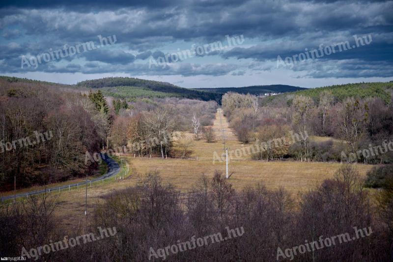 5.25 ha building plot with agricultural development land for sale near the Austrian border