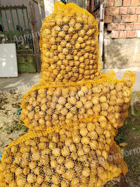 Prodaja vrhunskih orehov s tanko papirnato lupino za 1300 Ft/kg. GLS kurir za notranjo dostavo