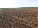 ARABLE LAND FOR SALE